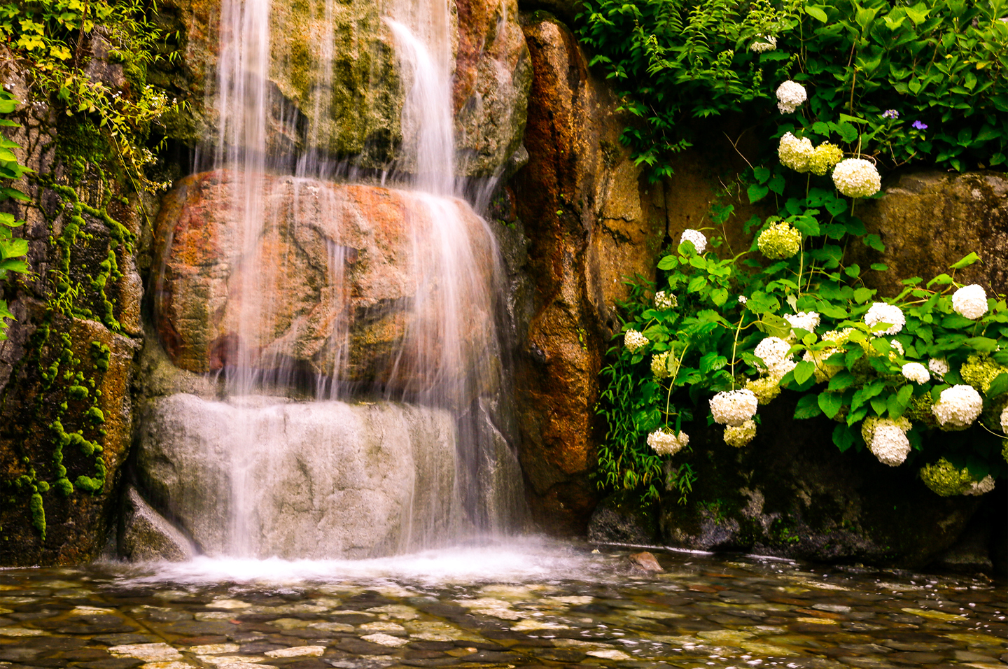 Hortensien neben einem Wasserfall